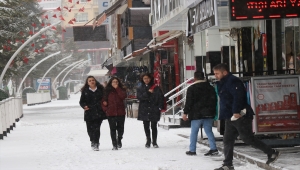İç Anadolu'da kar yağışı etkili oluyor