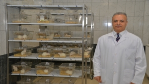 KAEÜ'de deney hayvanları laboratuvarı kuruldu