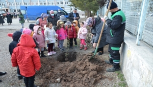 Kahramankazan'da öğrenciler okul bahçesine fidan dikti