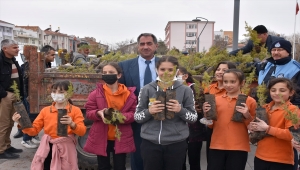 Karapınar'da fidan dağıtımı