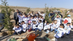 Kayseri Büyükşehir Belediyesi 3 yılda 300 bin fidan dikti