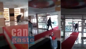 Kayseri'de "kediyi tekmeleyen" müdüre soruşturma