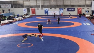 Sivas Cumhuriyet Üniversitesi, güreşte Türkiye üçüncülüğü elde etti