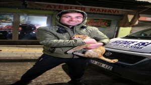 Sivas'ta veterinere götürülürken kaçarak kamyonetin motoruna sıkışan kedi kurtarıldı