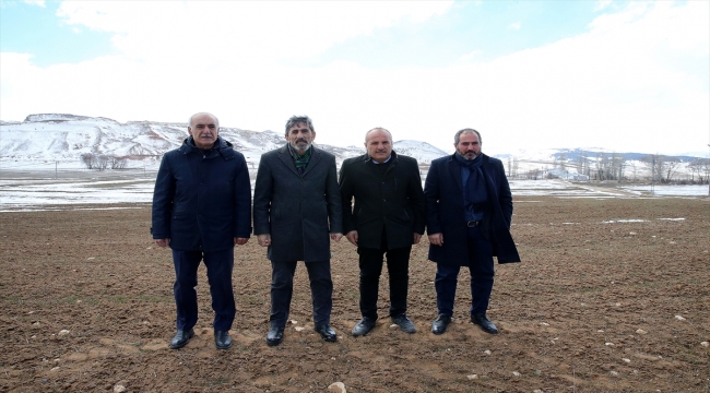 Sivas'ta yağlık ayçiçeği ekim alanları artacak