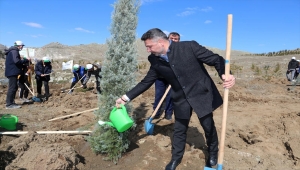 Sivrihisar'da Gönül Dağı Ormanı oluşturuldu