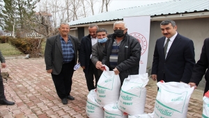 Yalıhüyüklü çiftçilere nohut tohumu desteği