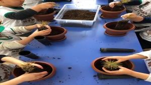 Yıldızeli'nde minikler "Orman Haftası" kapsamında fidan dikti 