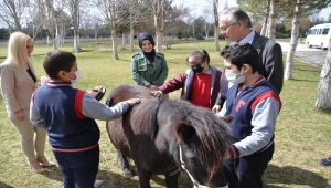 Ankara'da özel çocuklar ata binerek hem de terapi oluyor hem eğleniyor