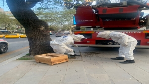 Ankara İtfaiyesi "Arı Timi" kurdu