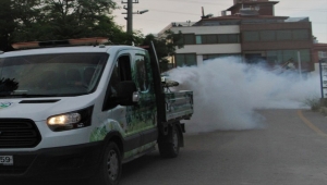 Beypazarı'nda sinekle mücadele çalışması başlatıldı