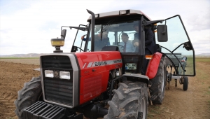 Çubuk Kaymakamı Keleş traktöre bindi, nohut ekimi yaptı
