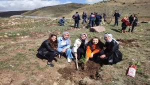Cumhuriyet Üniversitesi öğrencileri fidan dikti
