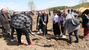 Cumhuriyet Üniversitesinde fidan dikme etkinliği düzenlendi 