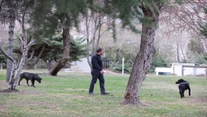 Devlet Arşivleri Başkanlığı, bahçesini sahipsiz hayvanlar için "açık barınak" haline getirdi