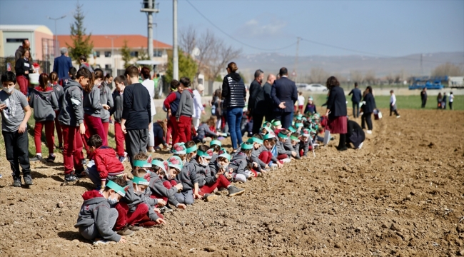Eskişehir'de tarım dersi alan öğrenciler okulun arazisine mor patates ekti