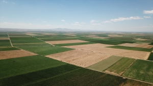 Eskişehir, Sakarya, Bilecik ve Kütahya'da 1 milyon 820 bin dekar alanda toplulaştırma yapıldı