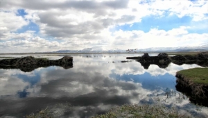 Flamingolar Kayseri'ye gelmeye başladı