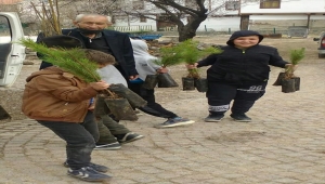 Güdül Belediyesi ücretsiz fidan dağıttı