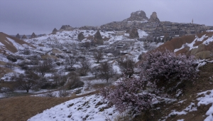 Kapadokya'da çiçekler kar altında kaldı