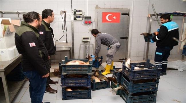 Kayseri'de kaçak avlandığı belirtilen 2,5 ton balık yakalandı