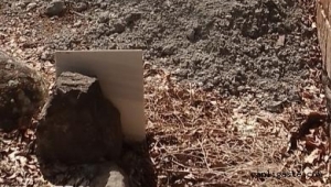 Kayseri'de ölene de rahat yok! (Özel Haber)