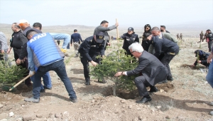 Kayseri'de polisler 250 fidanı toprakla buluşturdu