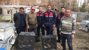 Kayseri'de yaban hayvanlarını evinde besleyen kişiye 20 bin lira ceza