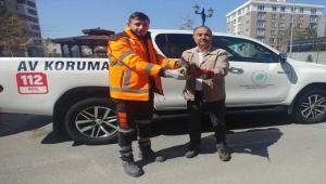 Kayseri'de yaralı halde bulunan erguvani balıkçıl kuşu tedavi altına alındı