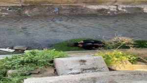 Kırıkkale'de dereye düşen kişi kurtarıldı