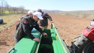 Kırşehir'de üreticilere çörek otu tohumu ve toz şeker desteği