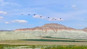 Nallıhan Kuş Cenneti misafirlerini ağırlamaya başladı