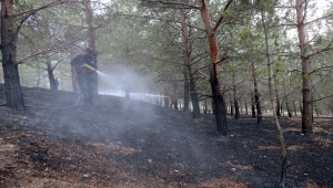 Şarkışla'da mesire alanında çıkan yangın söndürüldü