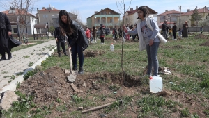 Şarkışla'da "Şehit Bebek Bedirhan Mustafa Karakaya Parkı" yeşillendiriliyor