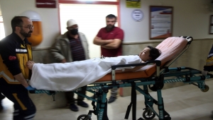 Sivas'ta sahipsiz köpeklerin saldırdığı çocuk yaralandı