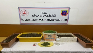 Sivas'ta uyuşturucu operasyonunda bir şüpheli gözaltına alındı