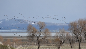 Son yağışlar Seyfe Gölü Havzası'nı yeterince besleyemedi
