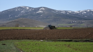 Türkiye'nin nohut depolarından Kırşehir'de tohumlar toprakla buluştu