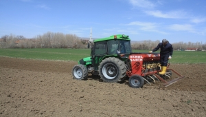 Yozgat'ta yerli tohum nohut ekimi yapıldı
