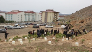 Zara'da 13 bin 850 fidan toprakla buluşturuldu 