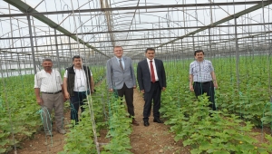 Akşehir'den kısa kısa