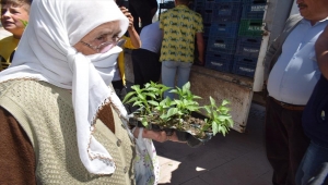 Bahşılı Belediyesinden üreticilere ücretsiz fide