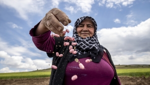 Başkentli iki kadın çiftçi topraktan kazandıklarıyla çocuklarını okuttu