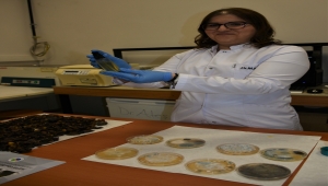 Ceviz kabuklarından dezenfektan ürettiler