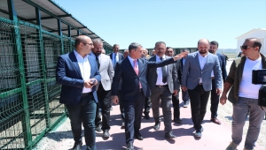 Gölbaşı'ndaki Sokak Hayvanları Rehabilitasyon Merkezi'nde sona gelindi