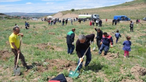 Kahramankazan'da Gençlik Haftası'nda 1000 fidan dikildi