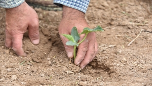 Karatay Hobi Bahçelerinde ekim başladı