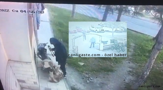 Kayseri'de hırsızların rahatlığı pes dedirtti! (Özel Videolu Haber)