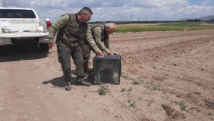 Kayseri'de kümese giren tilki doğal yaşam alanına bırakıldı
