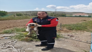 Kırıkkale'de betonla toprak zemin arasına sıkışan yavru köpek kurtarıldı